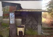 DSC06378