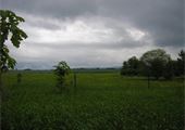 P1010238