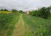 IMG_6557