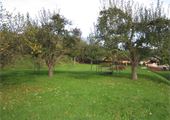 IMG_8121