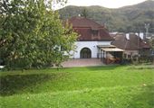 IMG_8130
