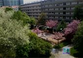 park