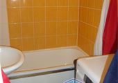 DSC07531