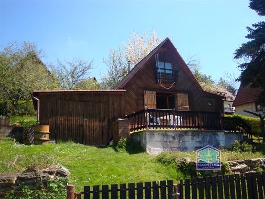 DSC07653