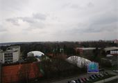 IMG_6245