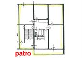 patro