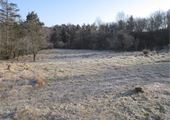 IMG_6908