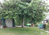 20170725_085331