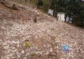 DSC09083