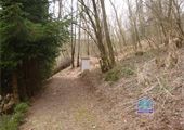 DSC09086