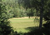IMG_7799