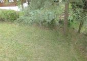 IMG_8754