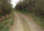 IMG_8801