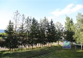 IMG_7770