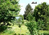 Skleník-01