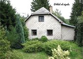 IMG_20190817_152937