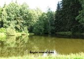 IMG_0639-01