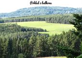 IMG_0637-01