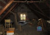 IMG_0004