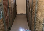 IMG-5181