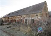 IMG_1299
