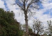 IMG_0231