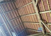 IMG_20200819_141619