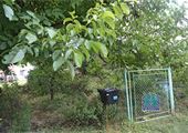 IMG_1203