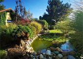 IMG_20201001_154725