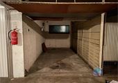 IMG_0384