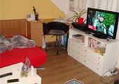 DSC00506