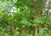 DSC00744
