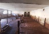 IMG_20210727_111218
