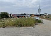 IMG_4669