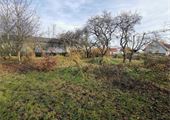 IMG_20211110_141318