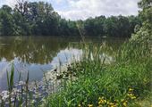 IMG_20220606_112122