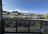 IMG_7549