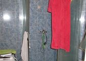 IMG_5745