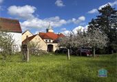 IMG_7009