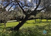 IMG_7011