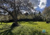 IMG_7013