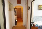 IMG_8184