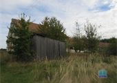 IMG_6042
