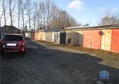 IMG_8444