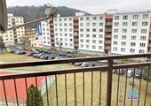 IMG_4012