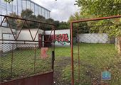 IMG_1318