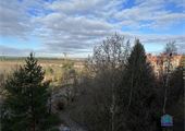 IMG_5521