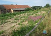 IMG_8314[1]