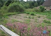 IMG_8316[1]