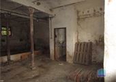 IMG_9065